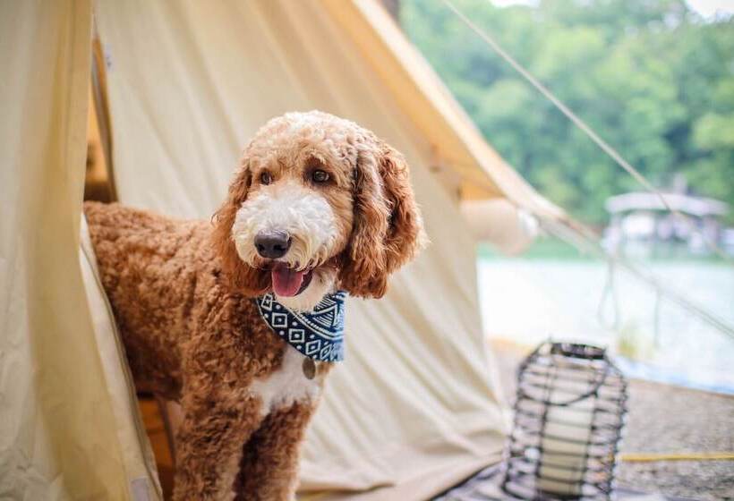 호텔 Timberline Glamping At Unicoi State Park