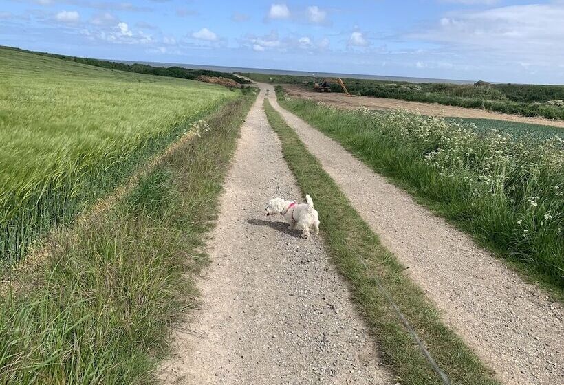 Cosy , Village Location   One Bedroom Barn
