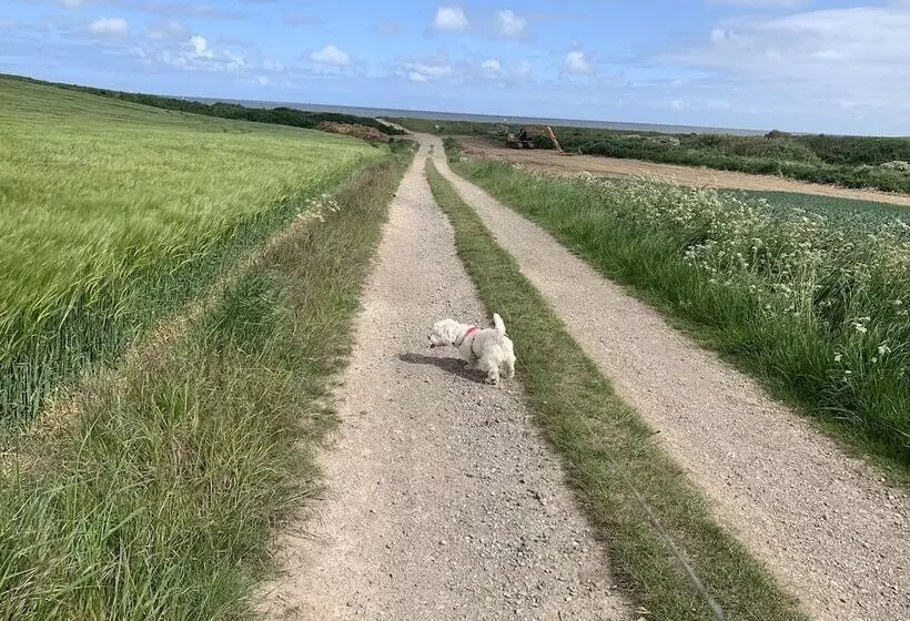 Cosy , Village Location   One Bedroom Barn