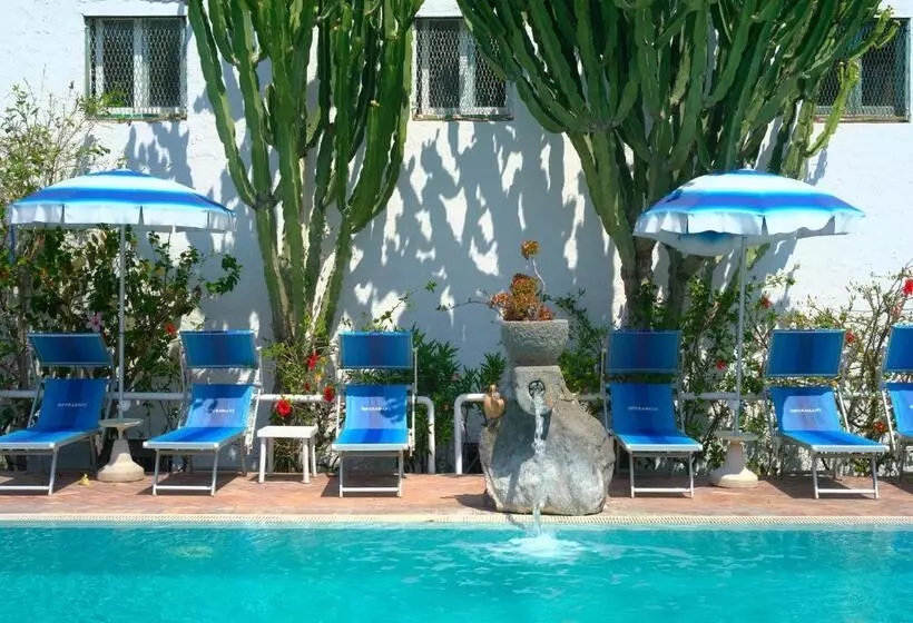 Room In B&b   Ischia, Forio With A Breathtaking View, Above The Poseidon Gardens For 5 People