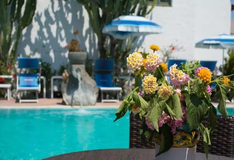 Room In B&b   Ischia, Forio With A Breathtaking View, Above The Poseidon Gardens For 5 People