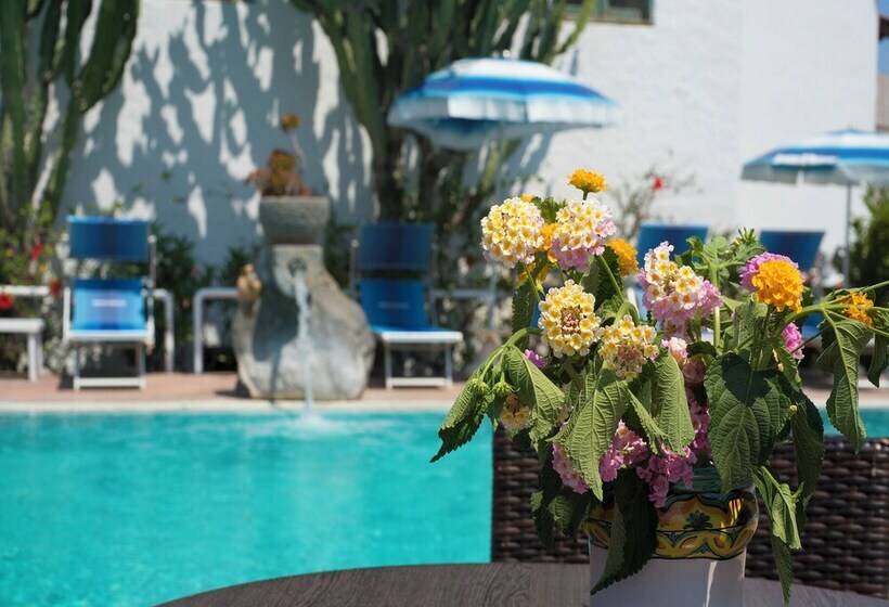 Room In B&b   Ischia, Forio With A Breathtaking View, Above The Poseidon Gardens For 5 People