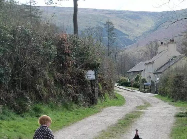 The Mill House At Cwmiar Farm   Relaxing Holidays