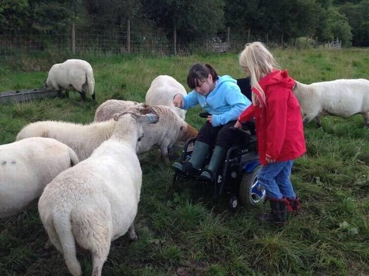 The Mill House At Cwmiar Farm   Relaxing Holidays
