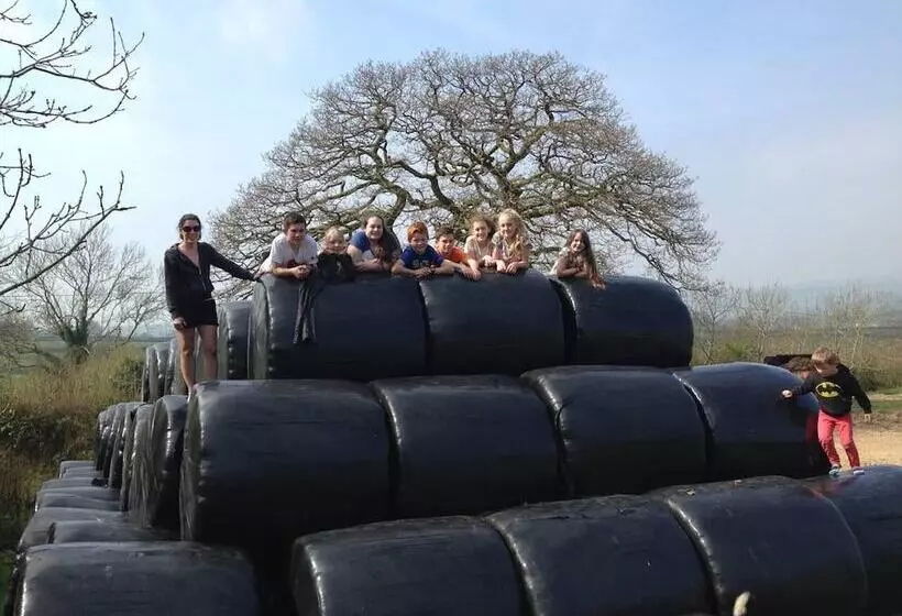 The Mill House At Cwmiar Farm   Relaxing Holidays