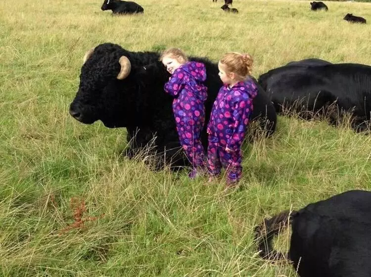 The Mill House At Cwmiar Farm   Relaxing Holidays