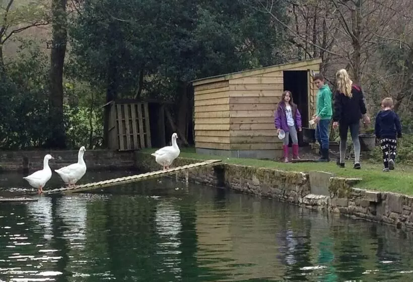 The Mill House At Cwmiar Farm   Relaxing Holidays