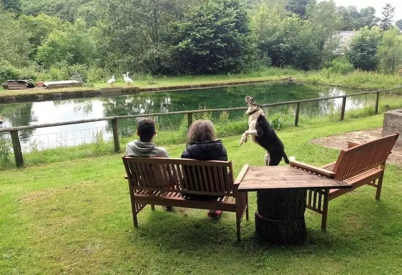 The Mill House At Cwmiar Farm   Relaxing Holidays