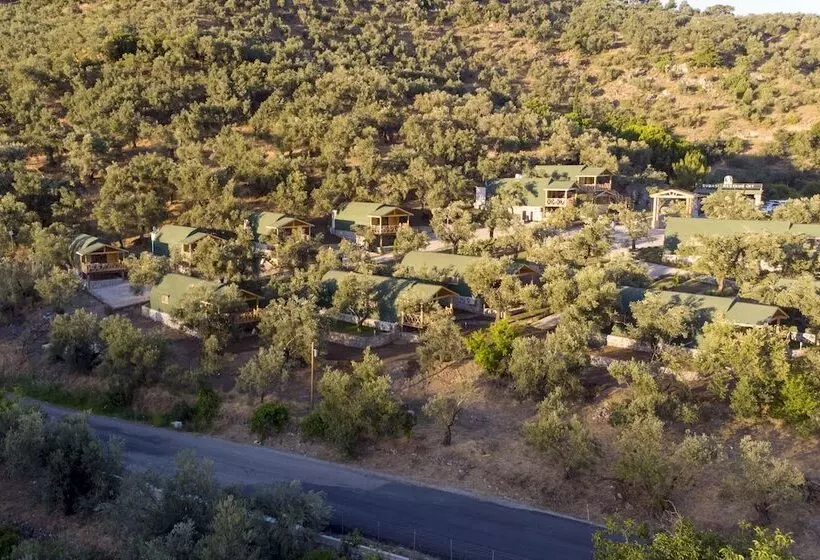 ホテル Kazdagları Saglikli Yasam Tatil Koyu