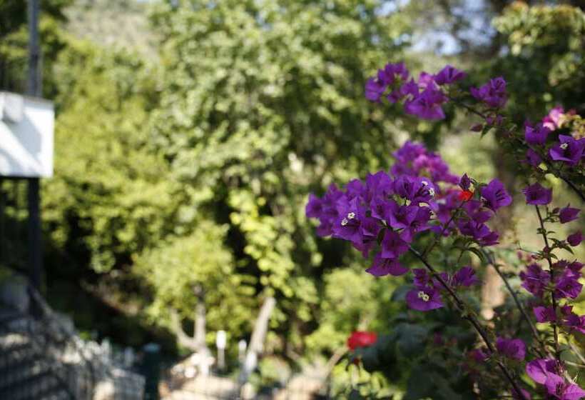 هتل Kazdagları Saglikli Yasam Tatil Koyu