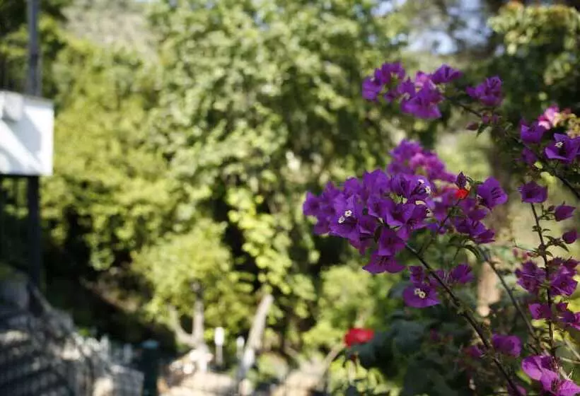 ホテル Kazdagları Saglikli Yasam Tatil Koyu
