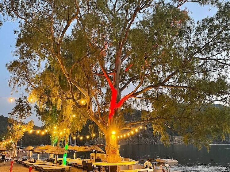 בית מלון כפרי Marimare Beach & Bungalow