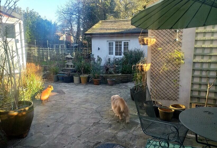 The Little House In Hull