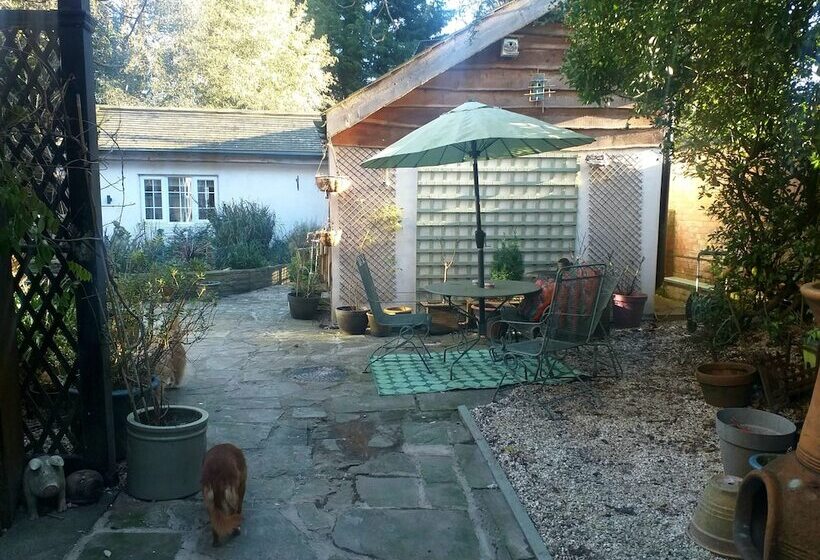 The Little House In Hull