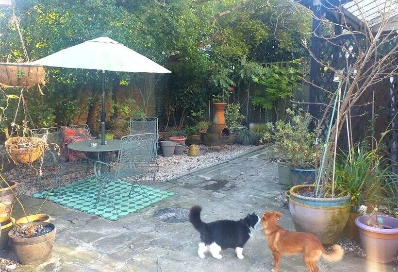 The Little House In Hull