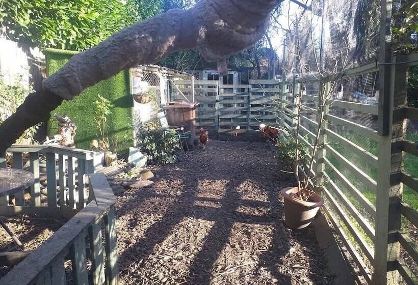 The Little House In Hull