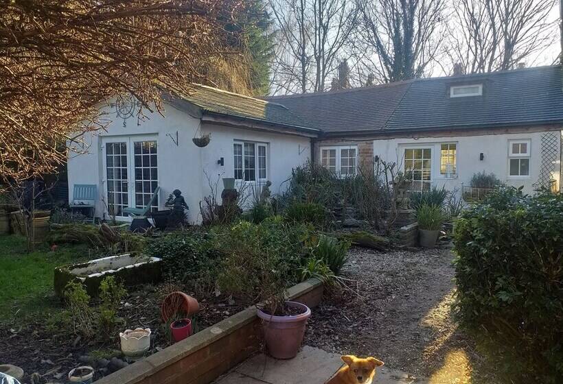 The Little House In Hull