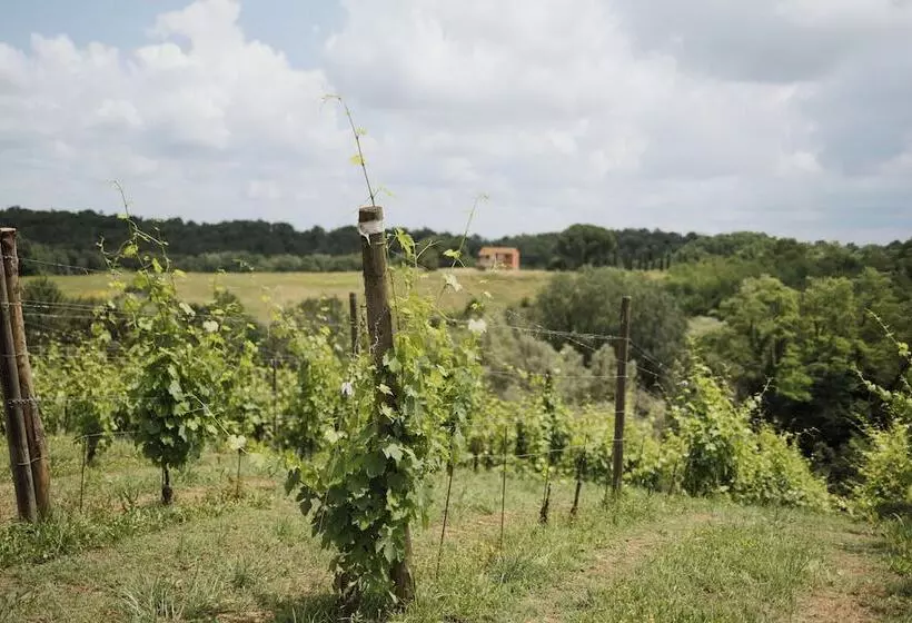 Villa Delia Hotel And Cooking School