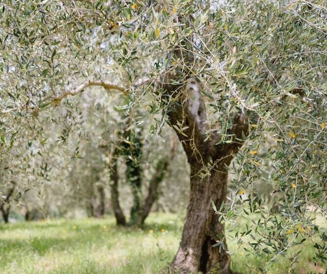 Villa Delia Hotel And Cooking School