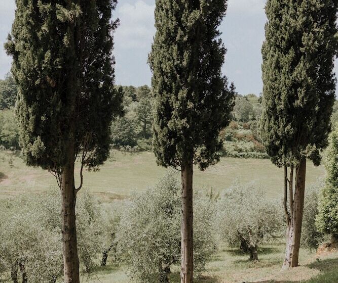 Villa Delia Hotel And Cooking School