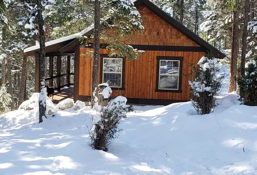Whispering Pines Cabin Rentals