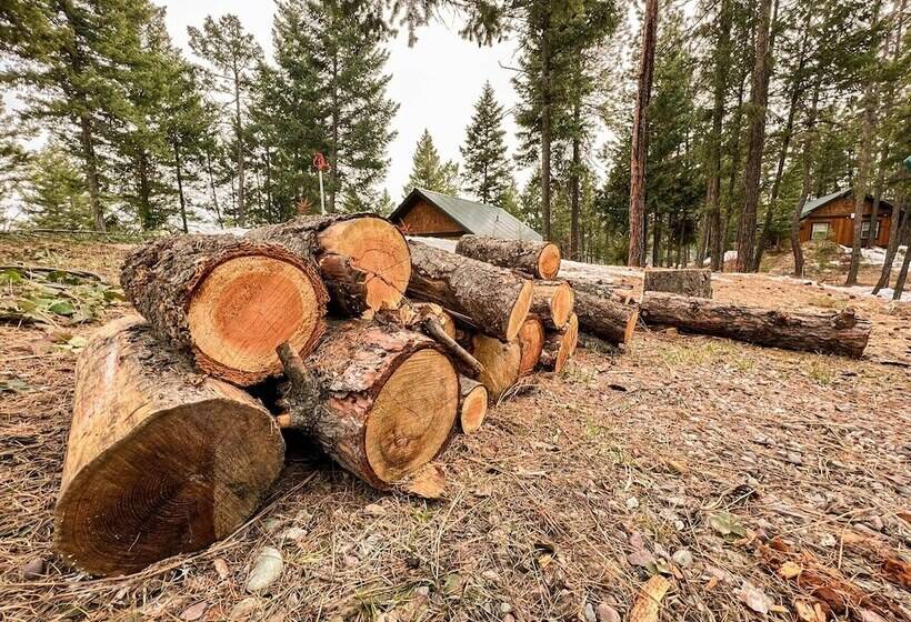 Whispering Pines Cabin Rentals