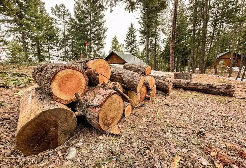 Whispering Pines Cabin Rentals