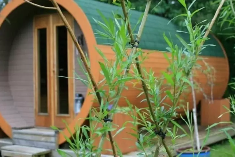 Bcc Lochness Glamping