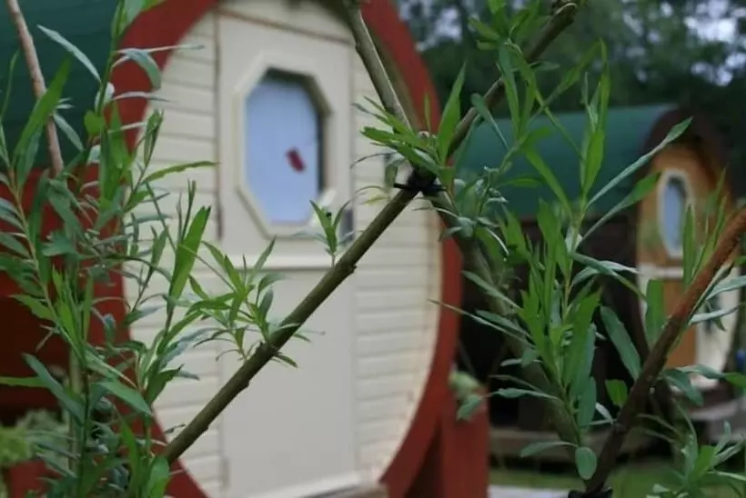 Bcc Lochness Glamping