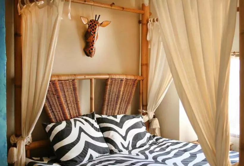 تختخواب و صبحانه Bed&Breakfast Casa Africano