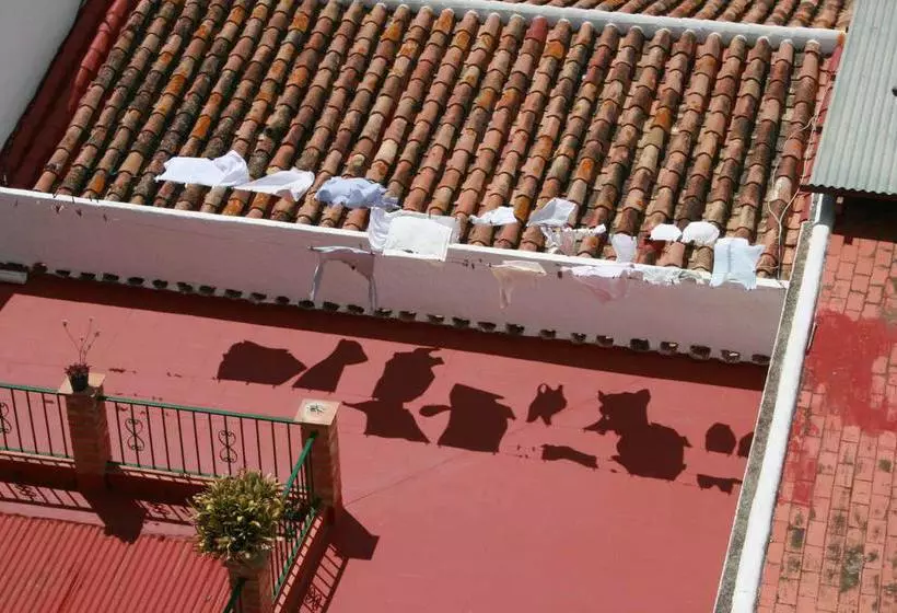 تختخواب و صبحانه Bed&Breakfast Casa Africano