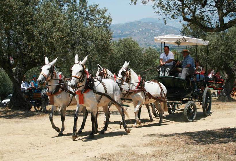 צימר Bed&Breakfast Casa Africano