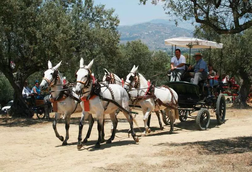 تختخواب و صبحانه Bed&Breakfast Casa Africano