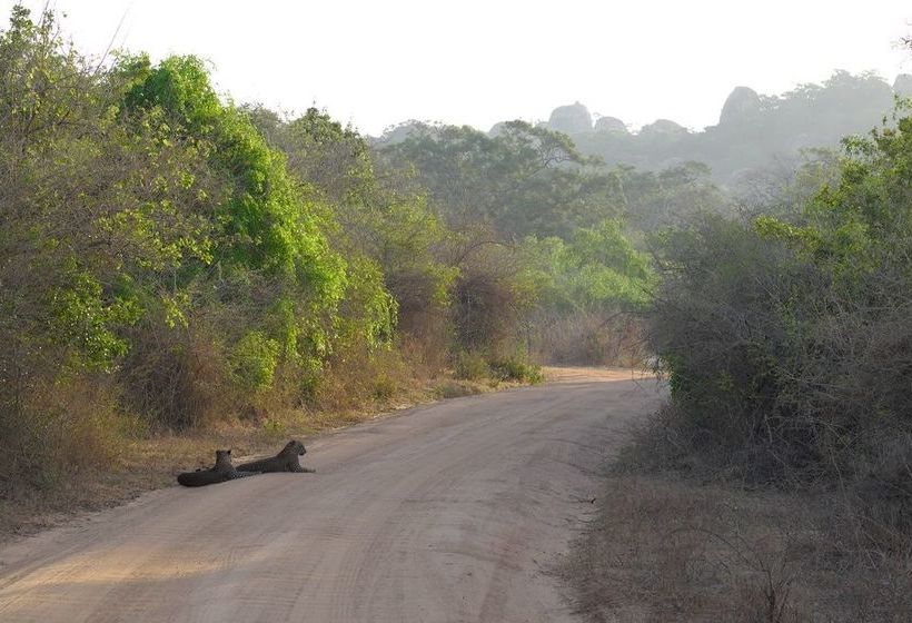 Hotel Eco Island Sri Lanka