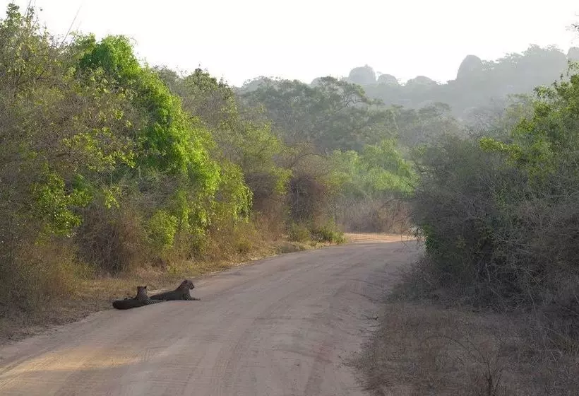 ホテル Eco Island Sri Lanka