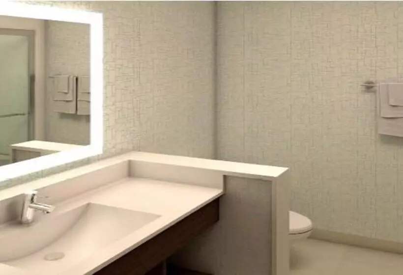 ホテル Holiday Inn Express Fullerton Anaheim, An Ihg