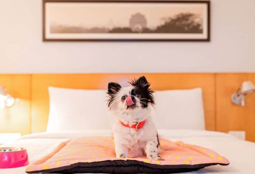 Отель Ibis Hyderabad Hitech City