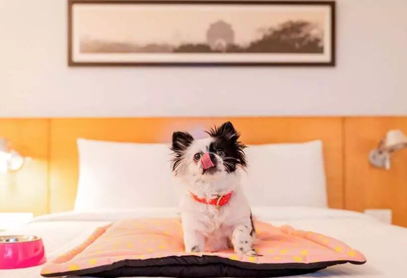 ホテル Ibis Hyderabad Hitech City