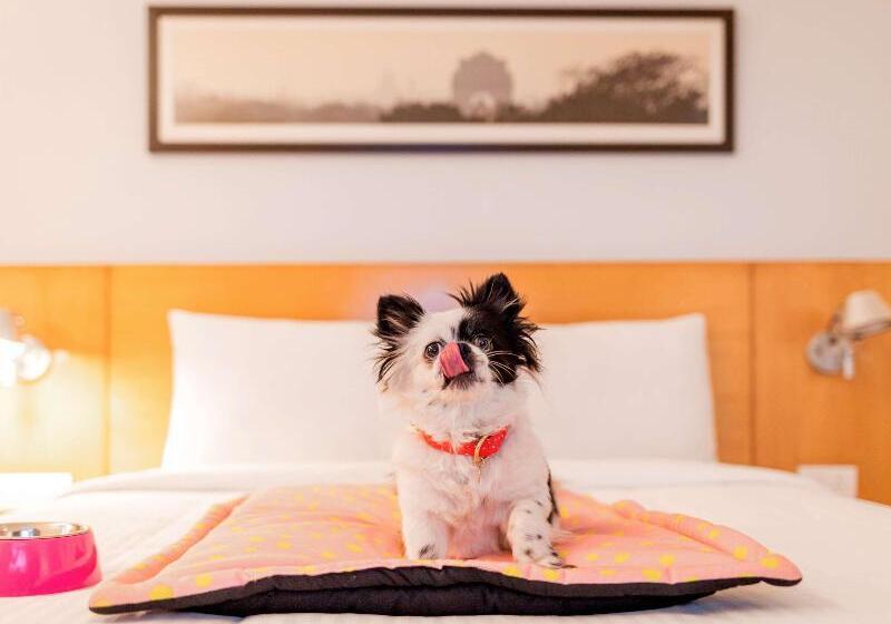 Отель Ibis Hyderabad Hitech City