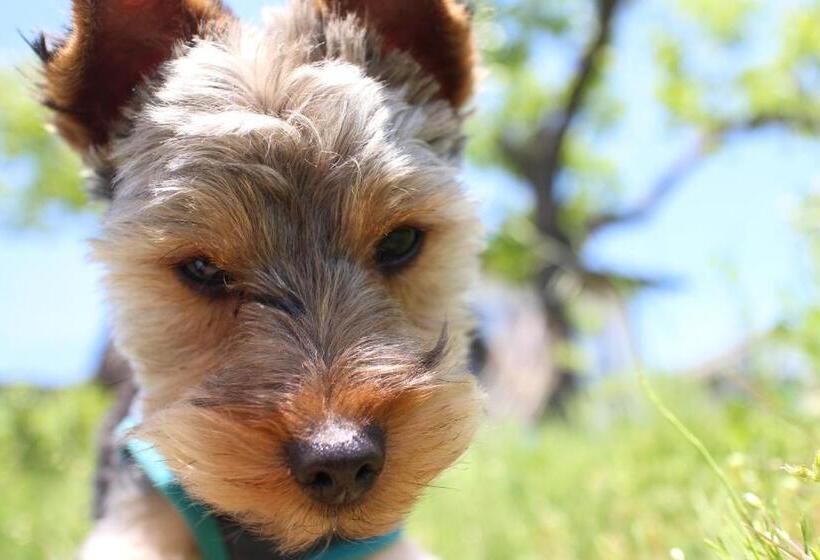 בית מלון כפרי Forest Hills Garden