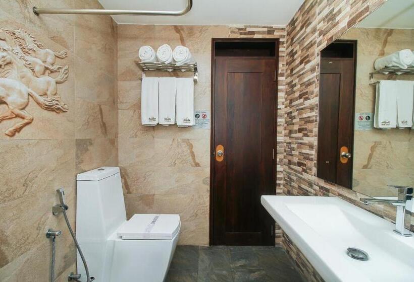 فندق Sasha Transit