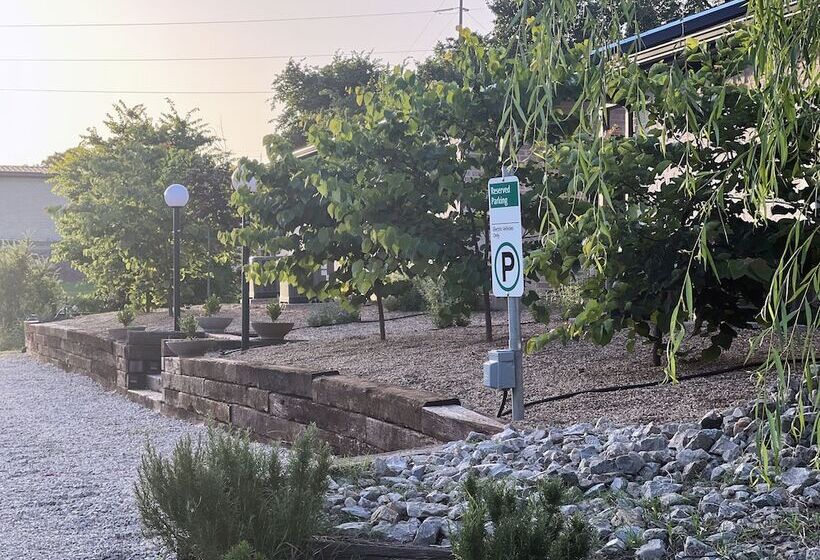 Хостел Mulberry