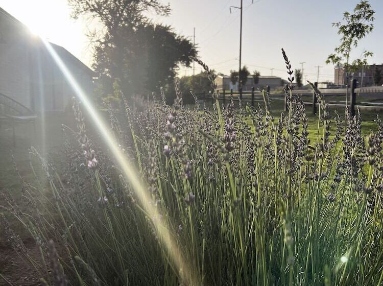 Хостел Mulberry