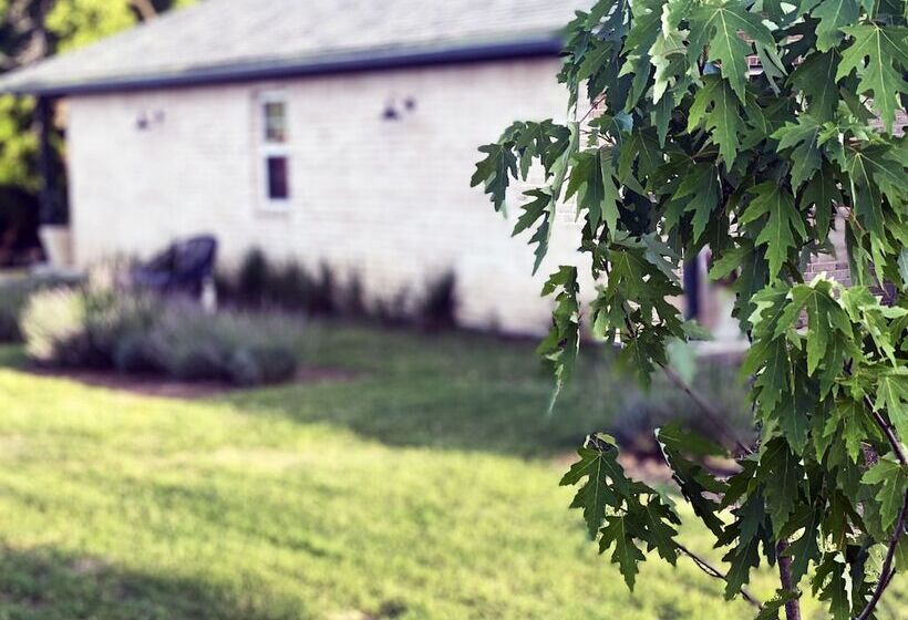 Хостел Mulberry