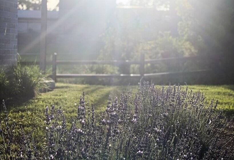 Хостел Mulberry