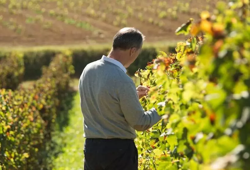 Hotelli Château Fage