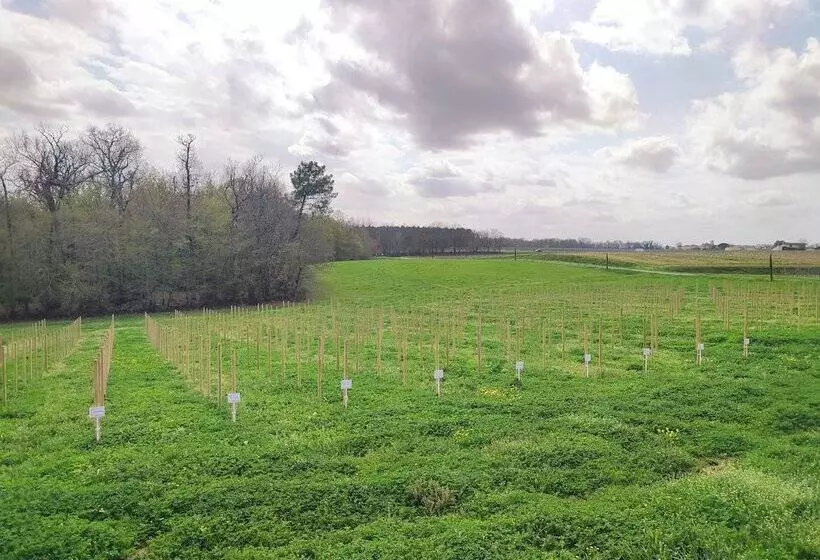 Hotelli Château Fage