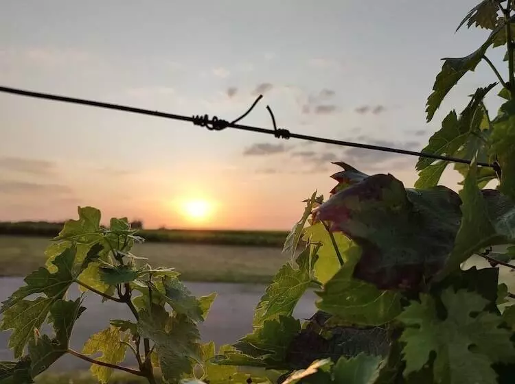 Hotelli Château Fage