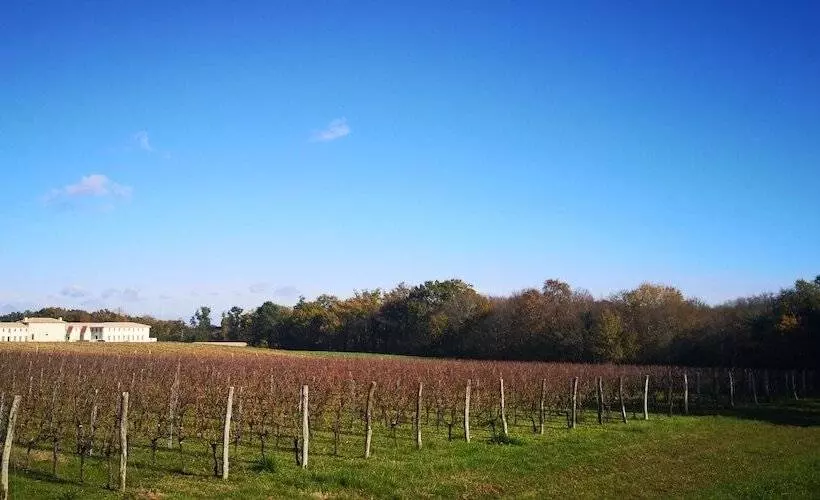 Hotelli Château Fage