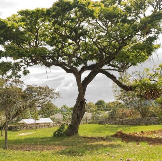 호텔 Hacienda El Novillero